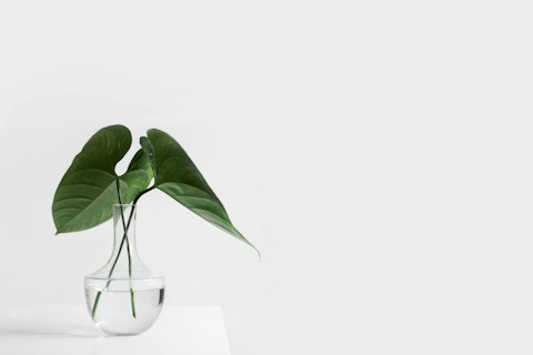 Efficiency Meets Elegance: Mastering Layout Design for Exceptional Interiors