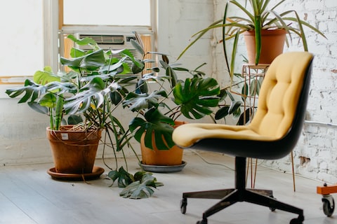 Design Like a Pro: Unlock the Secrets of Professional Interior Designers